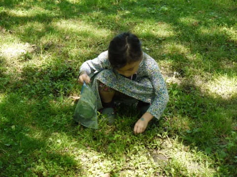 a person sitting in the grass