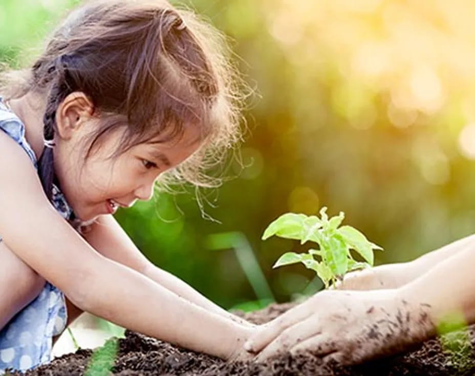 a young girl planting a plant