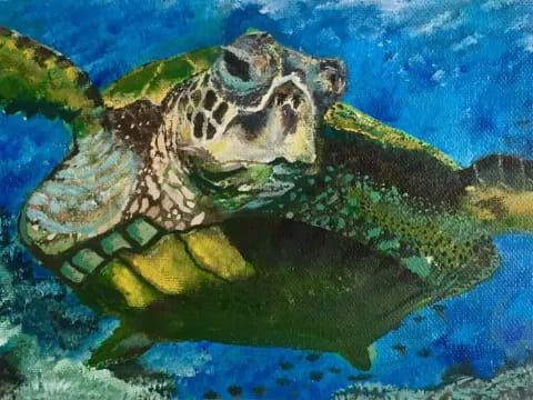 a turtle swimming in water