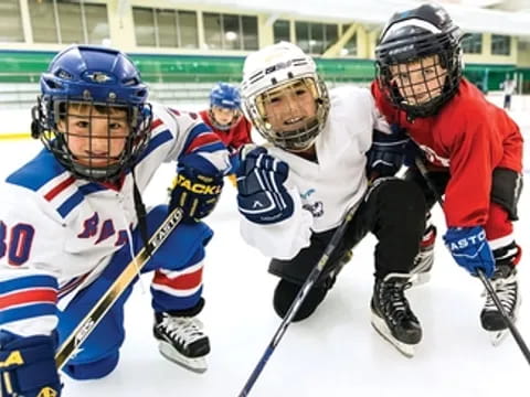 a group of hockey players