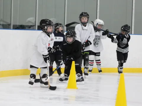 a group of people playing hockey