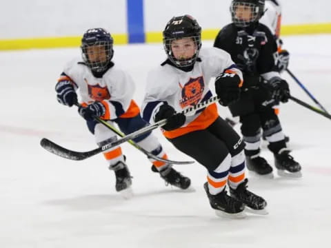 a group of hockey players on ice