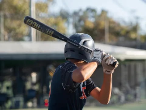 a person holding a baseball bat