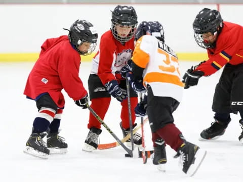 a group of people playing hockey
