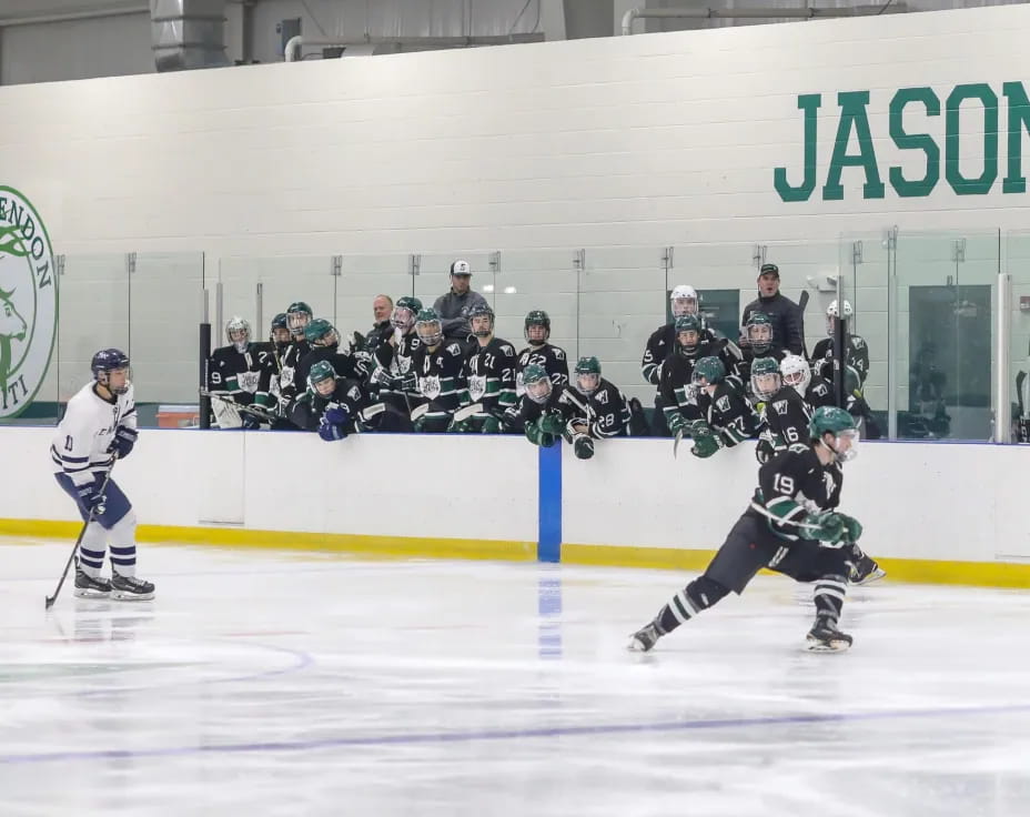 a group of people playing hockey