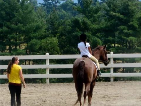 a person riding a horse