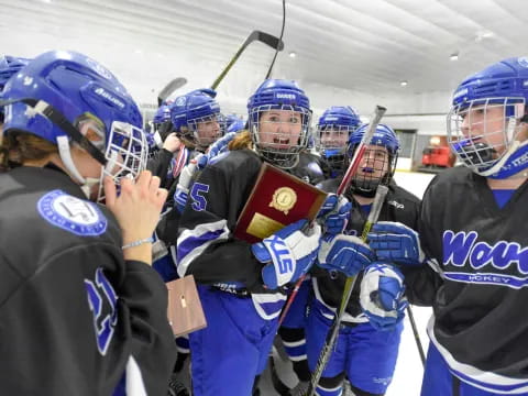 a group of hockey players