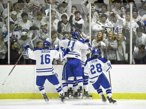 a group of men playing hockey