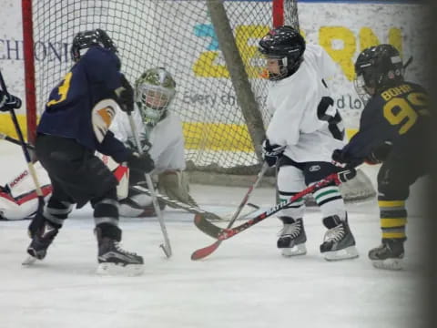 a group of people playing hockey