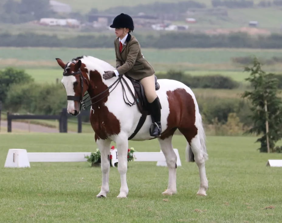 a man riding a horse