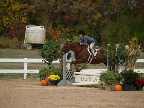 a person riding a horse