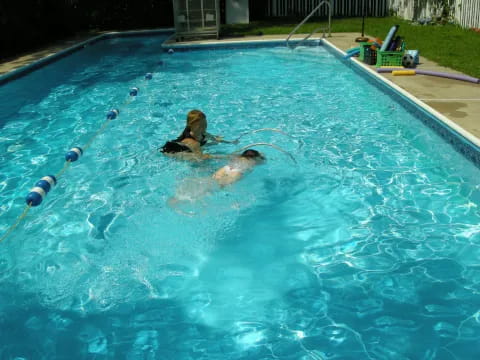 a dog swimming in a pool