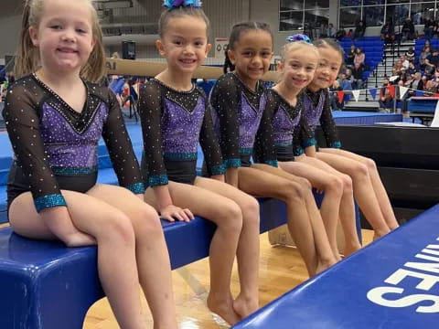 a group of girls in a gym
