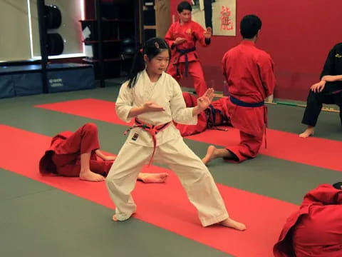 a person in a karate uniform