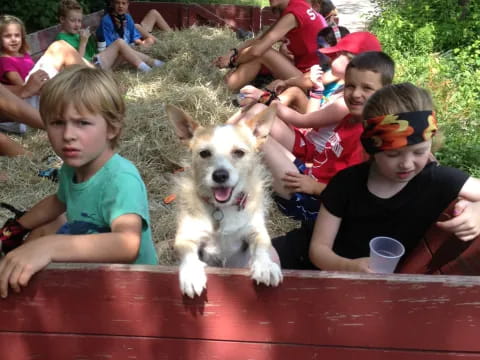 a group of children and a dog