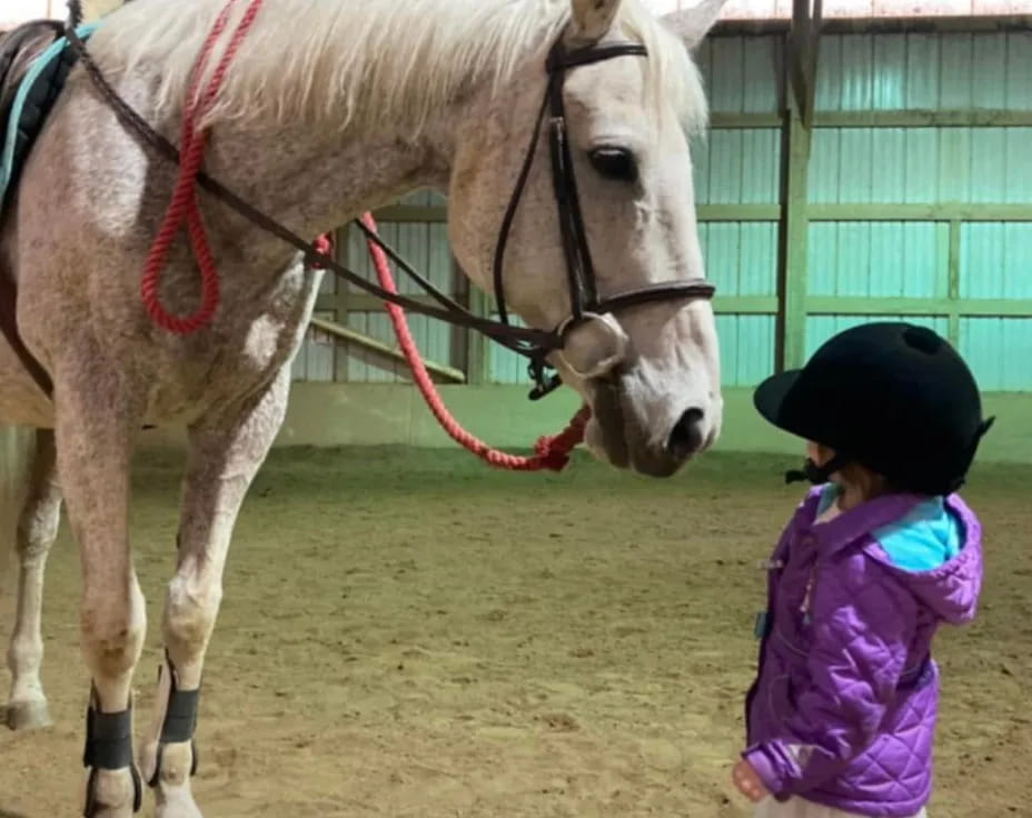 a girl standing next to a horse