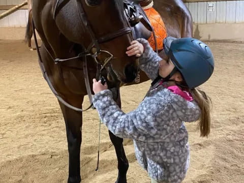 a person holding a horse