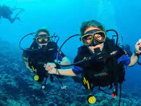 a few scuba divers in the water