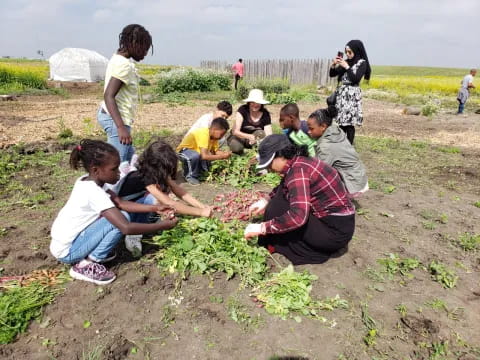 a group of people planting plants