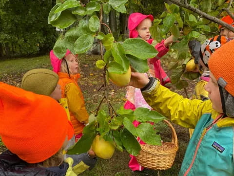 a group of children in a garden
