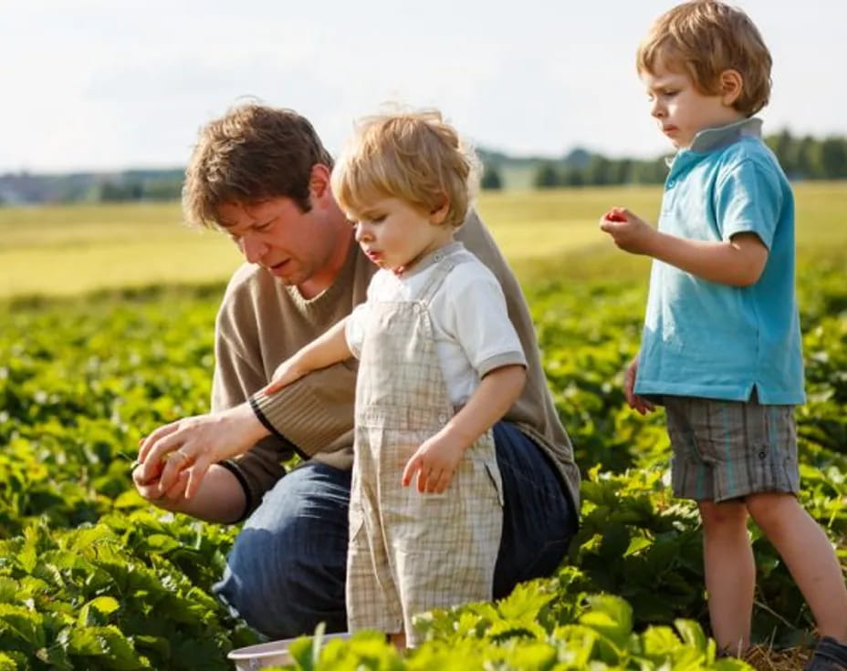 a group of children in a field