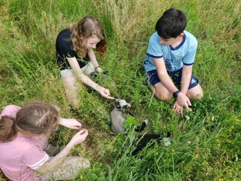 a group of people planting plants