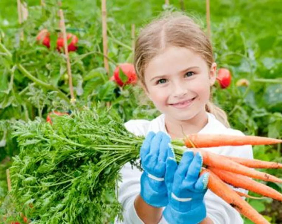 a girl holding a carrot