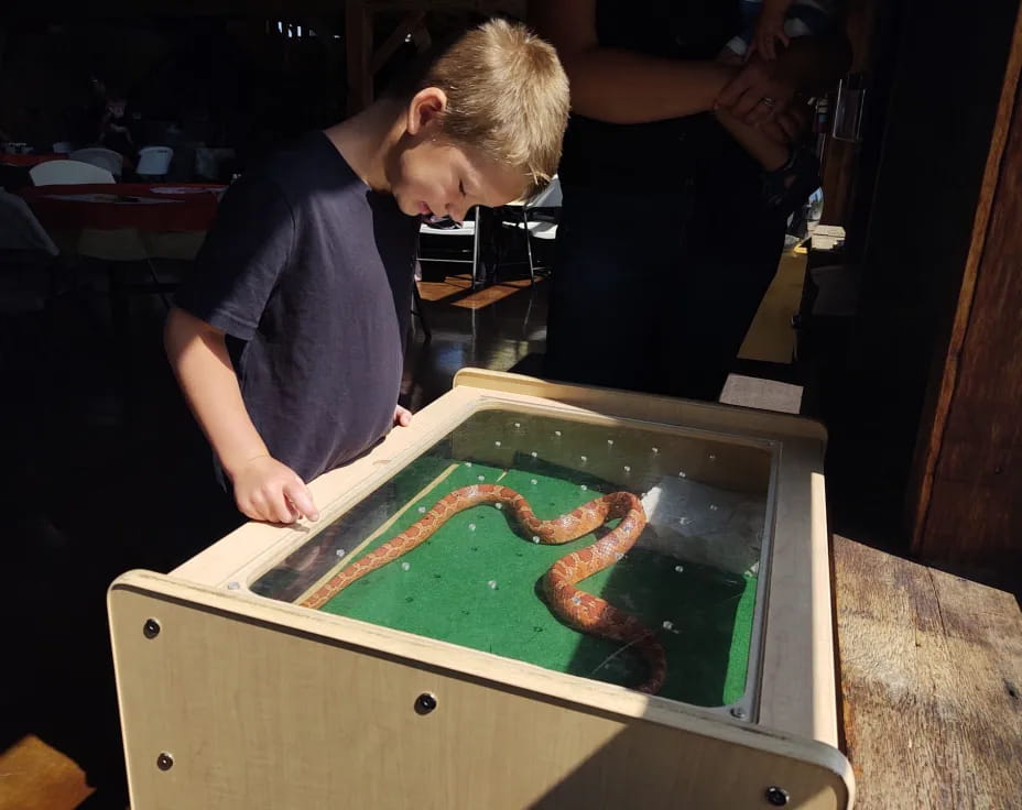 a man painting a picture
