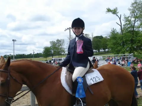 a person riding a horse