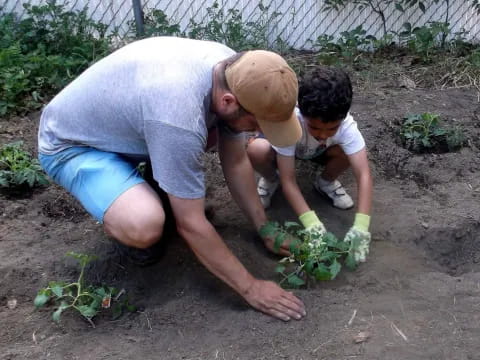 a couple of men planting plants