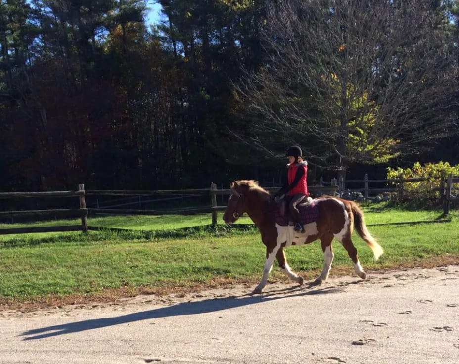 a person riding a horse