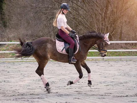a man riding a horse
