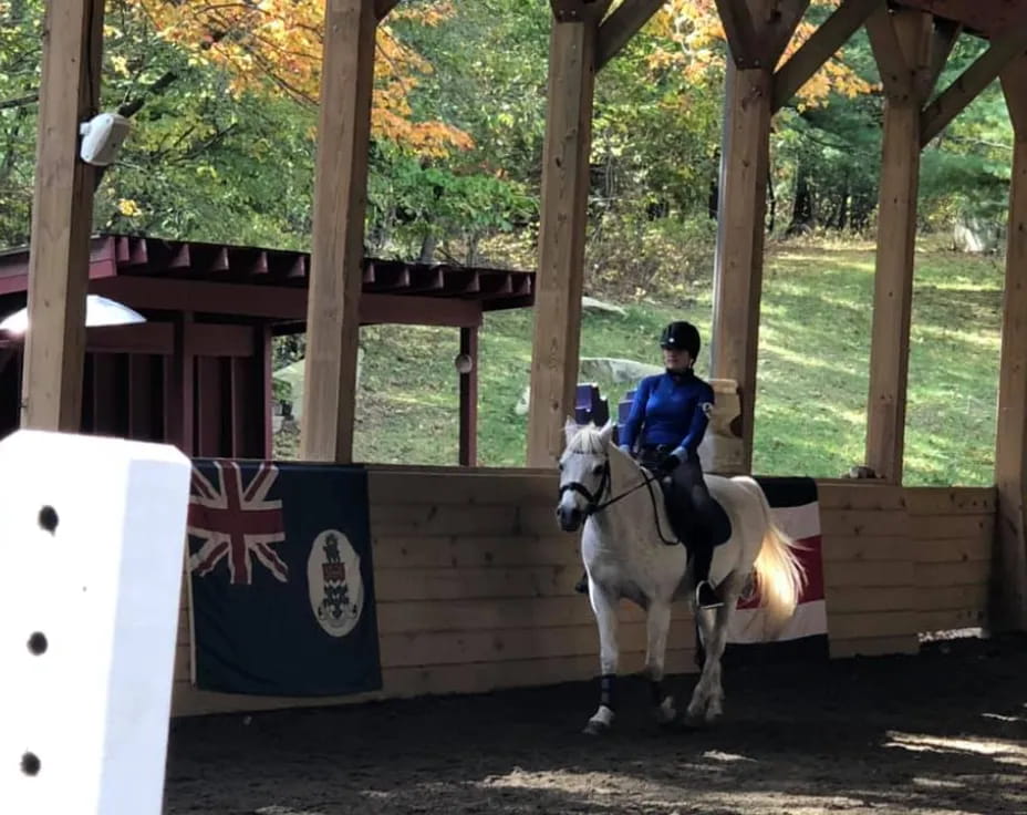 a person riding a horse