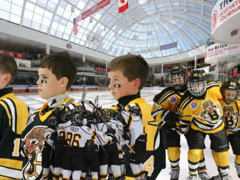 a group of hockey players