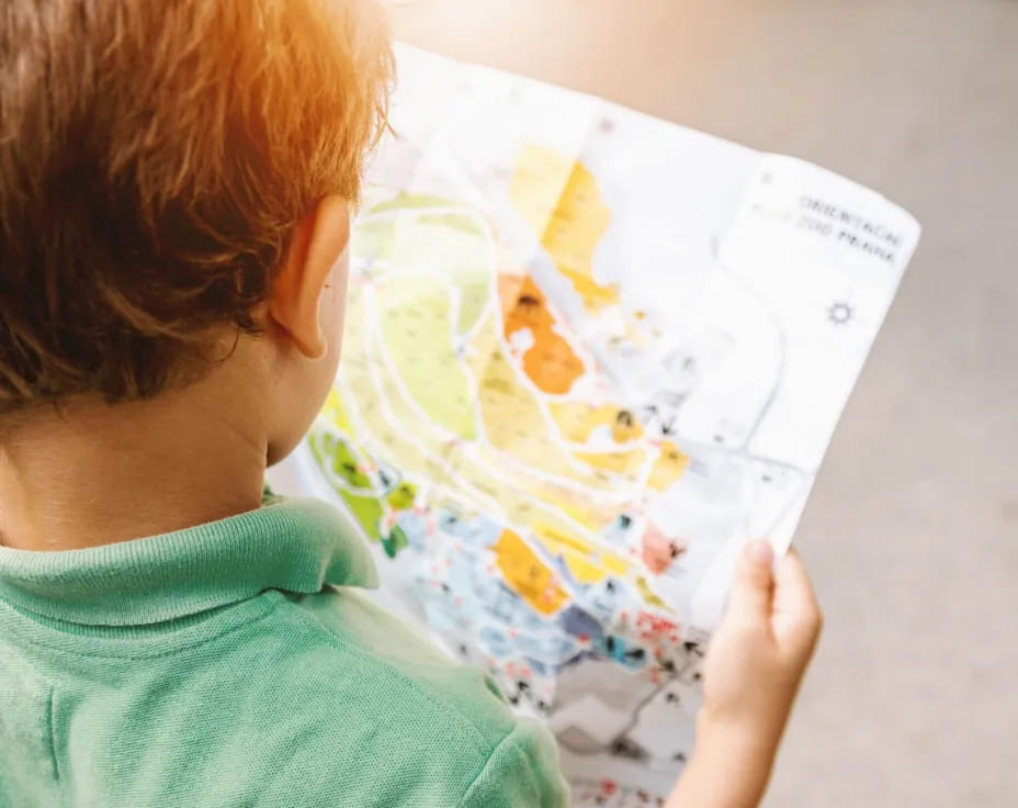 a child looking at a map