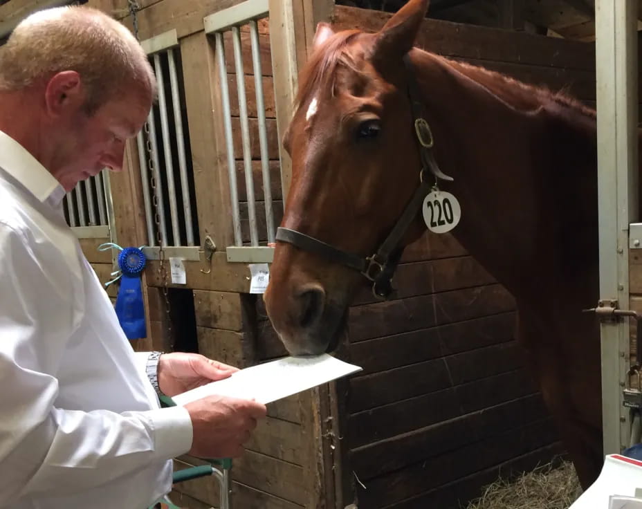 a man feeding a horse