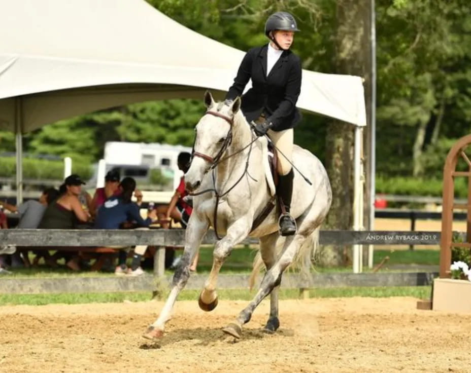a person riding a horse
