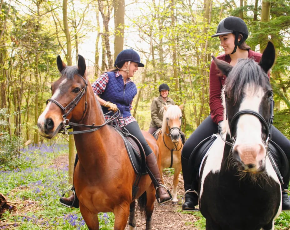 a group of people riding horses