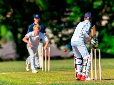 a group of people playing cricket