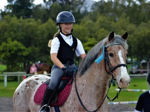 a person riding a horse