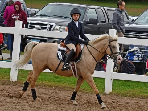a person riding a horse