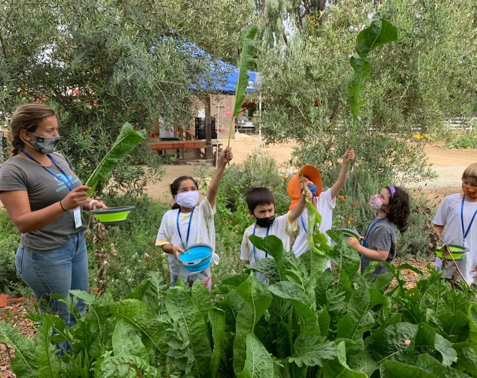 a group of people in a garden