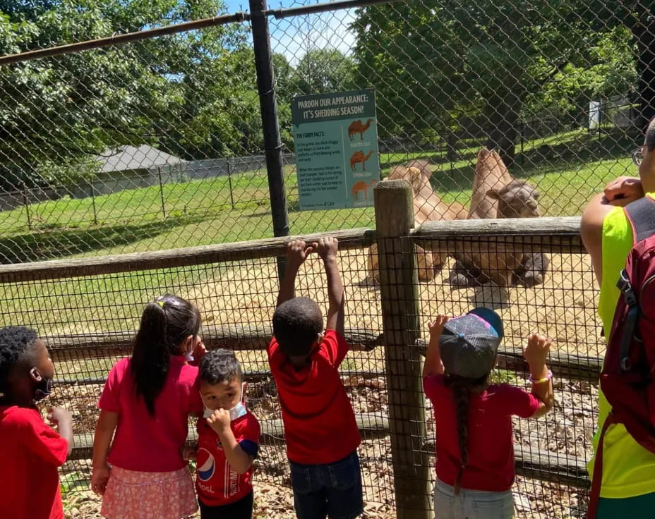a group of kids standing by a fence