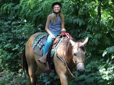 a person riding a horse