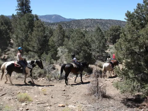 people riding horses on a trail