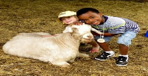 a boy and a baby petting a sheep