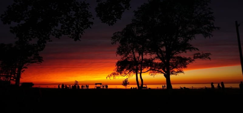 a sunset with trees