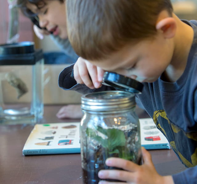 a boy looking at a jar