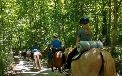 people riding horses in the woods