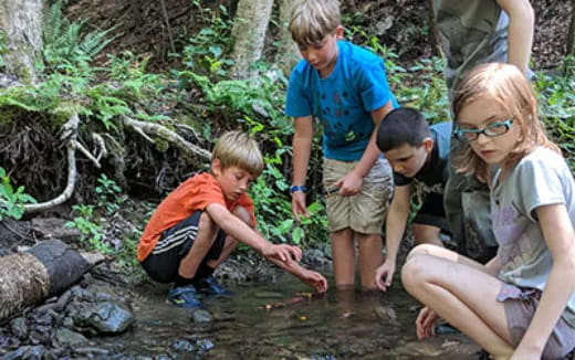 a group of children playing in a stream